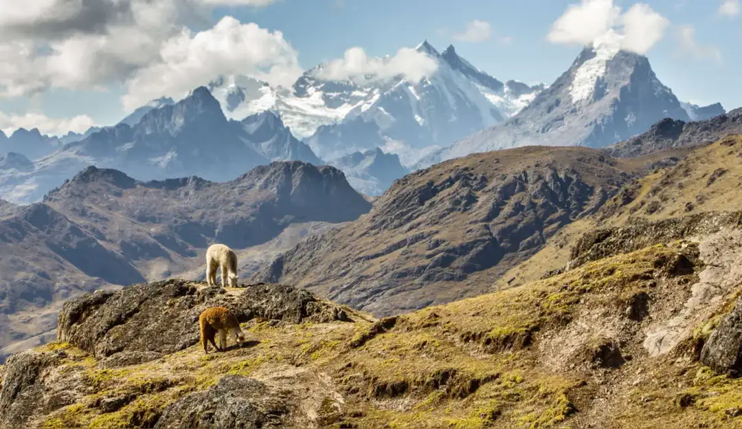cordilheira dos andes