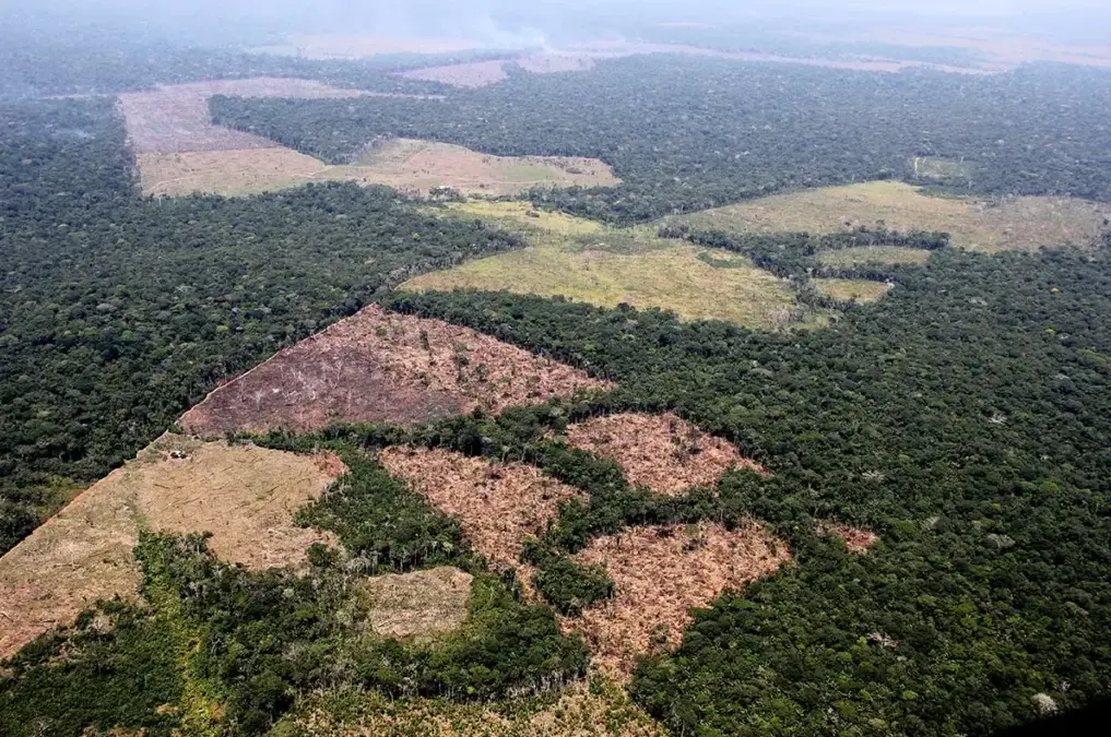 desmatamento-amazonia-peruana