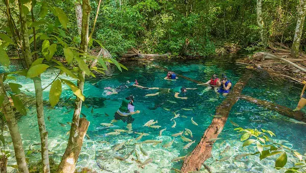 Por que turismo e meio ambiente precisam caminhar juntos?